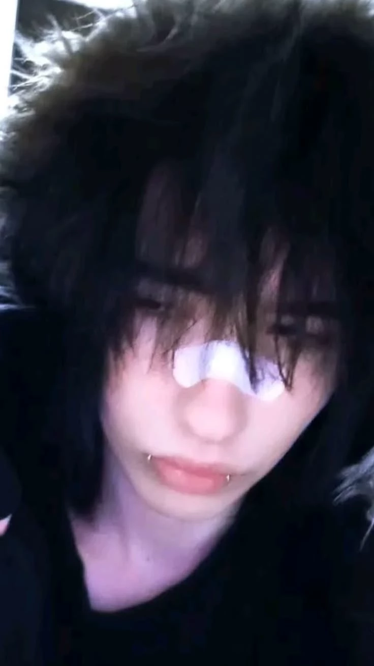 Snow fell thumbnail