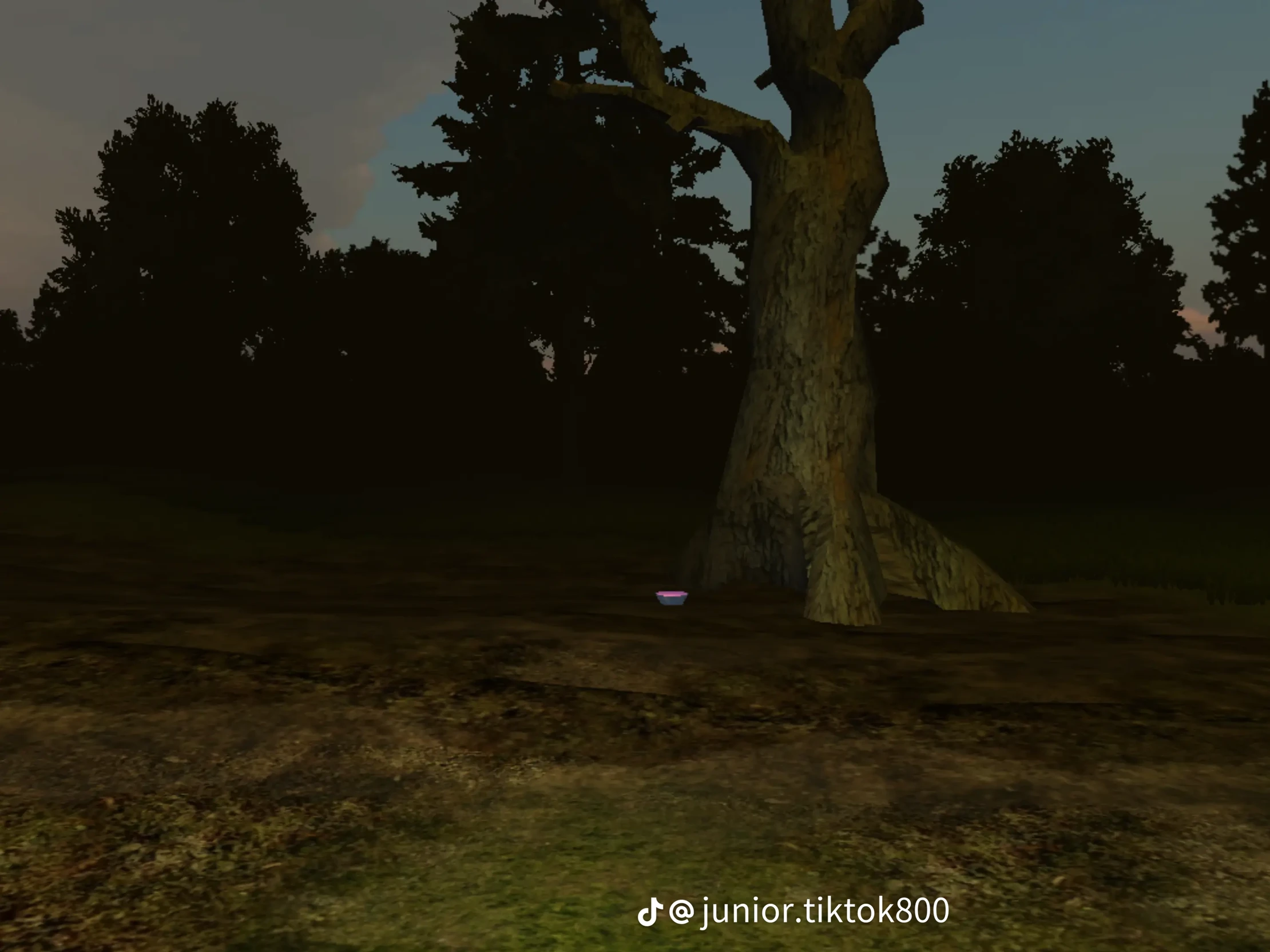 the forest calls to you thumbnail