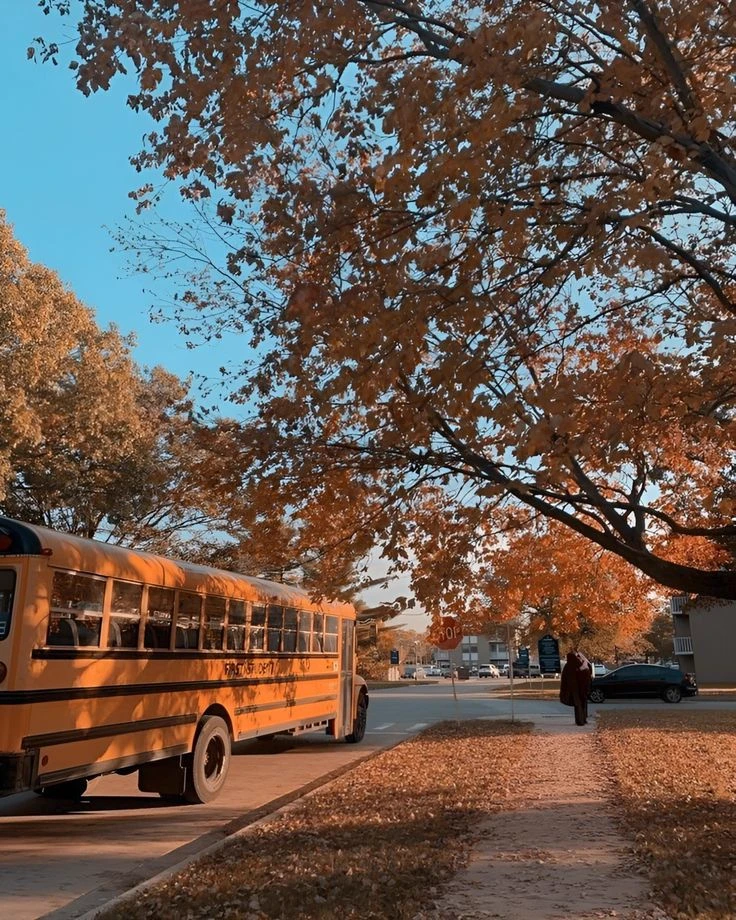This is not your bus thumbnail