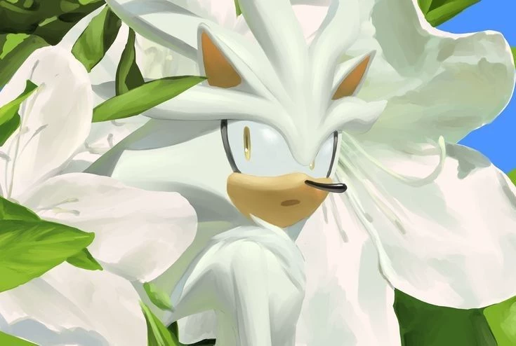Silver the Hedgehog thumbnail