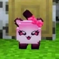 (User)