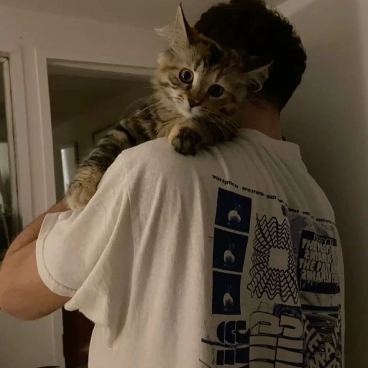 Soft CEO thumbnail
