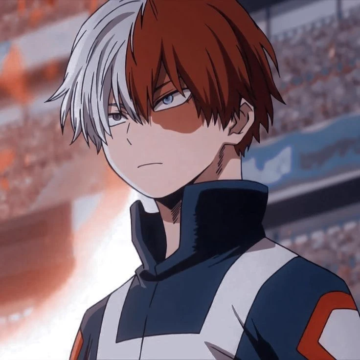 SHOTO TODOROKI thumbnail
