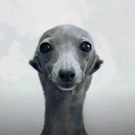 xxness