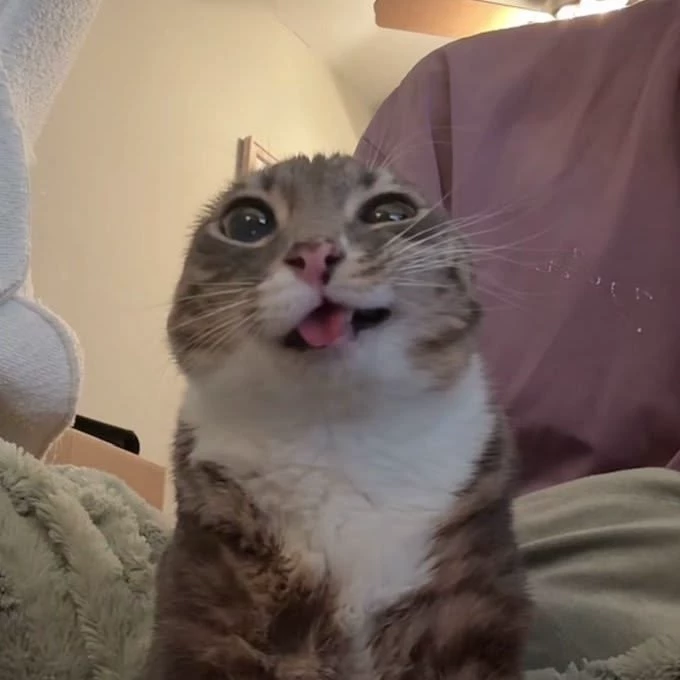 MILO