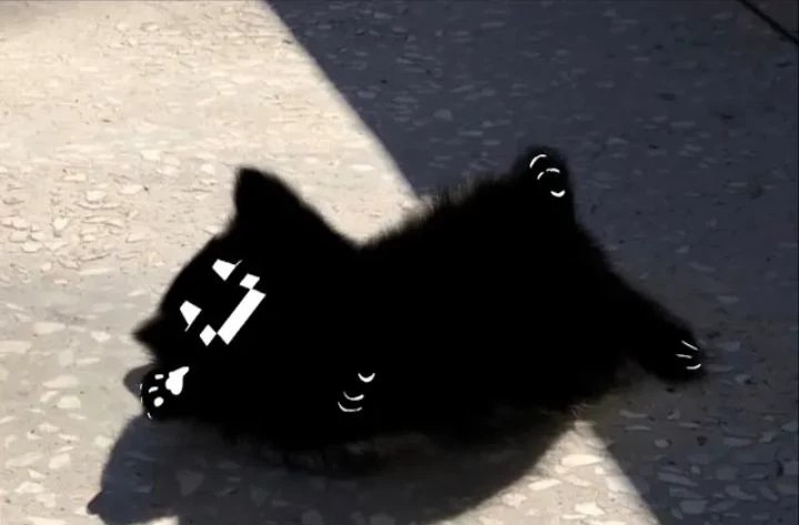 Twixxel thumbnail