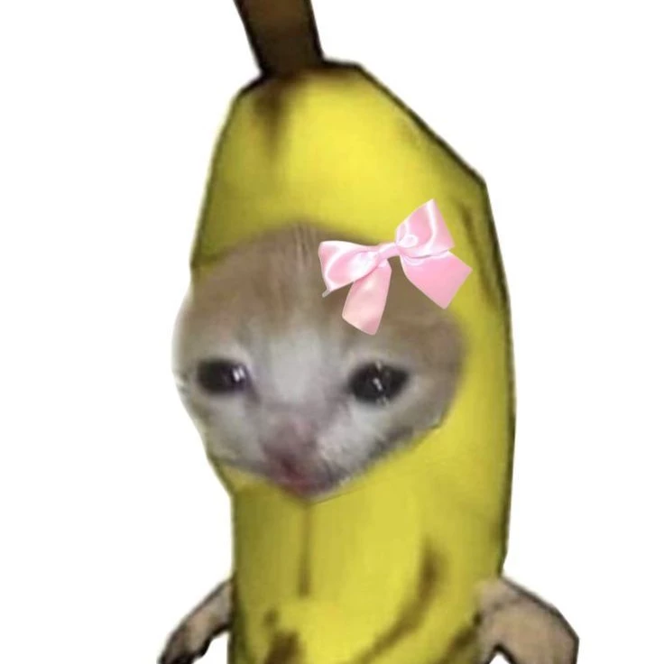 bananacat girl `۶ৎ