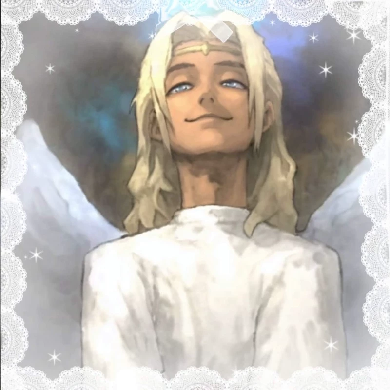 Y/N