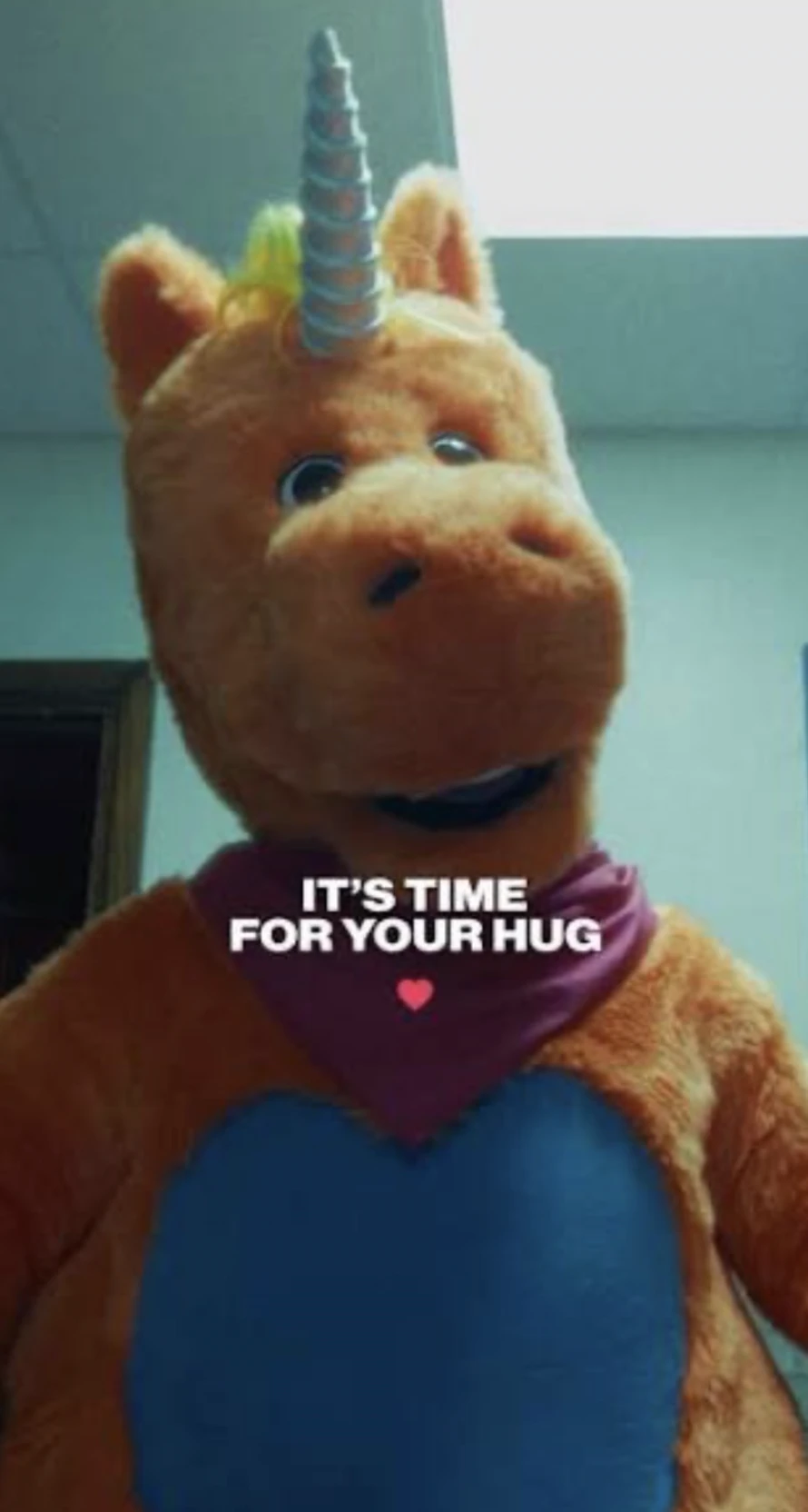 Buddy the unicorn thumbnail