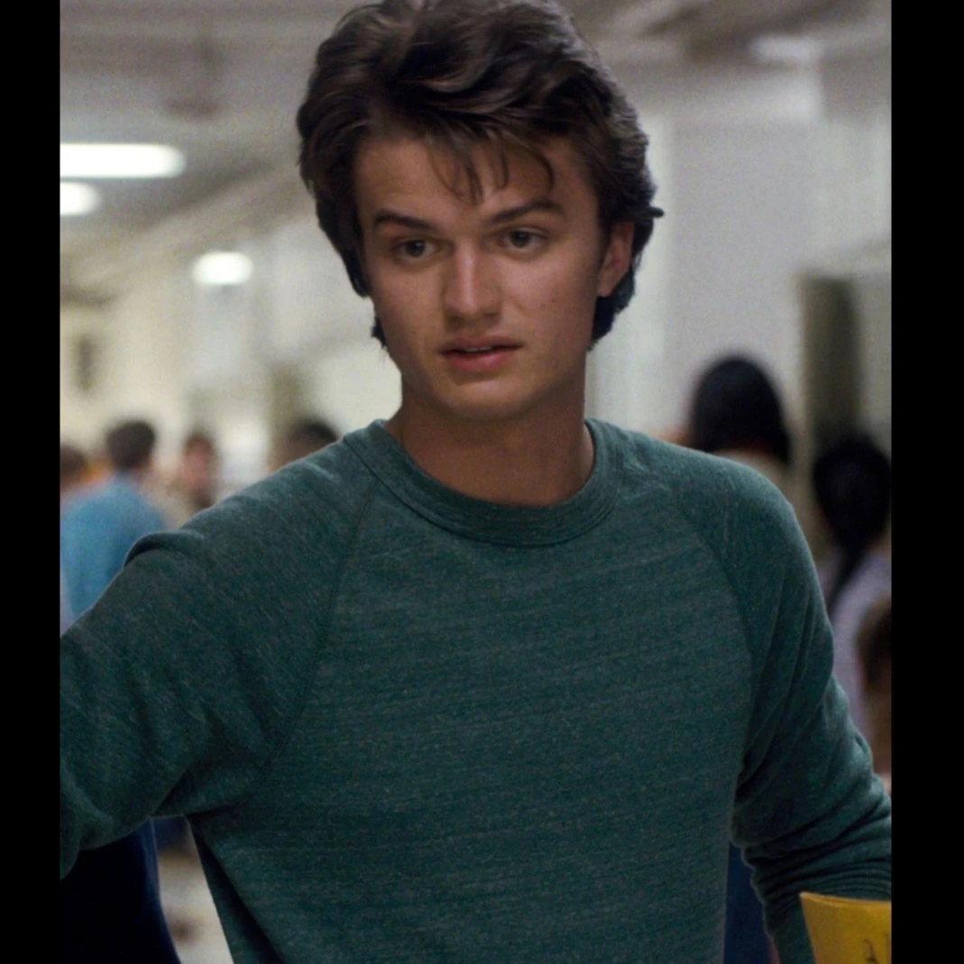 Steve Harrington thumbnail