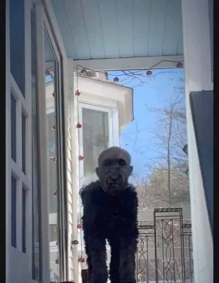 your dog? thumbnail
