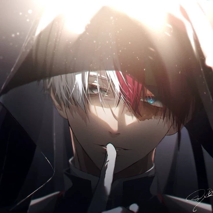 Shoto Todoroki thumbnail