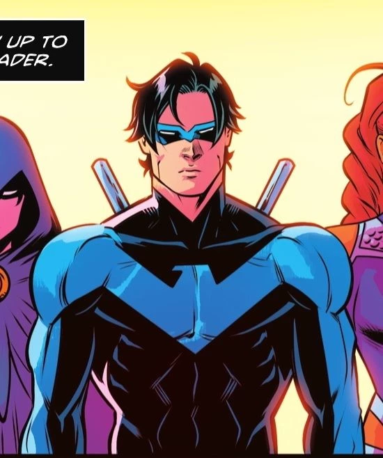 Nightwing (Tintans Ver) thumbnail