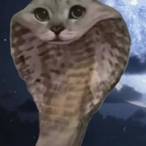 Pioveras