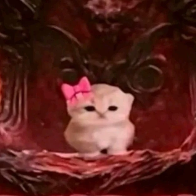 Himari(the lord of cat!)