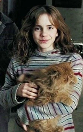 Hermione Granger thumbnail
