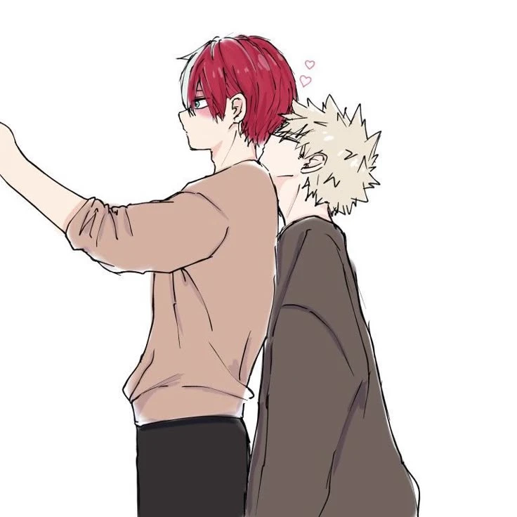 Todoroki × Bakugo thumbnail