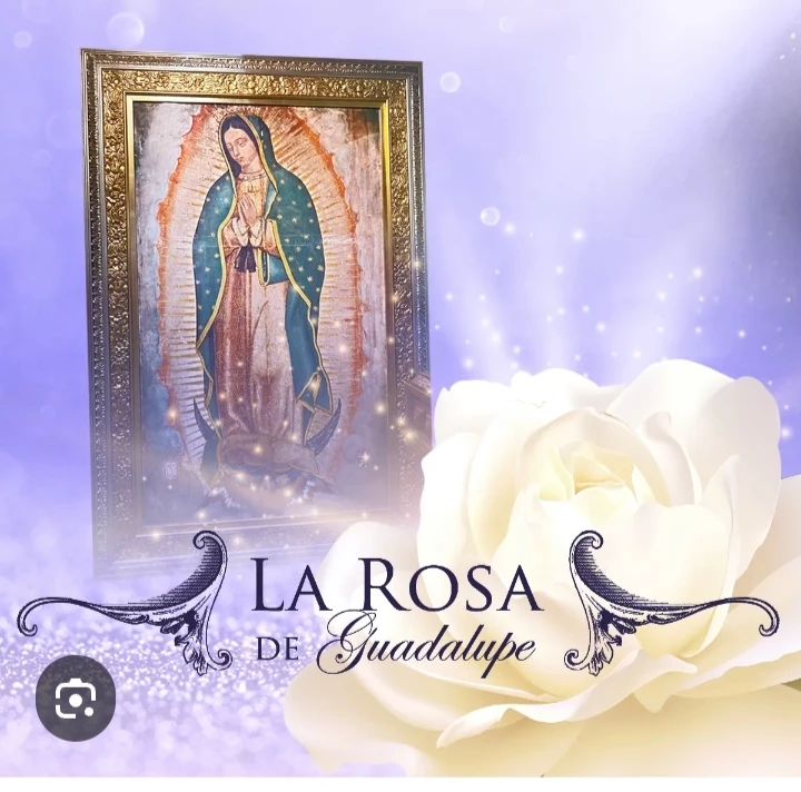 The Rose of Guadalupe thumbnail