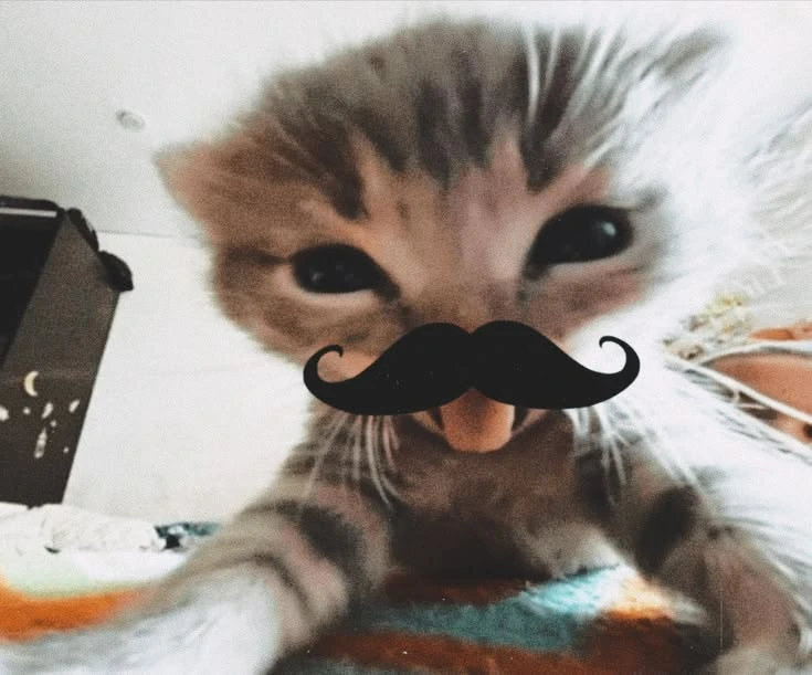 Mikey thumbnail
