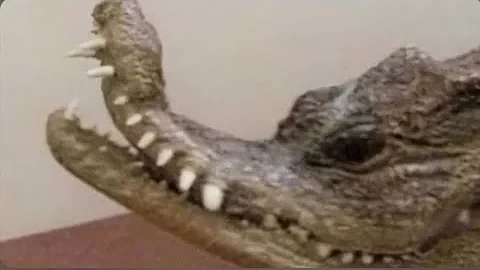 ñoñodrilo thumbnail