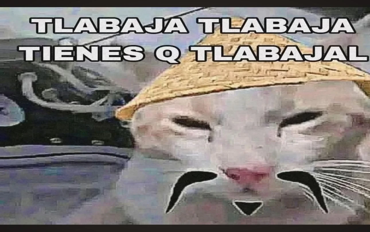chinese cat thumbnail