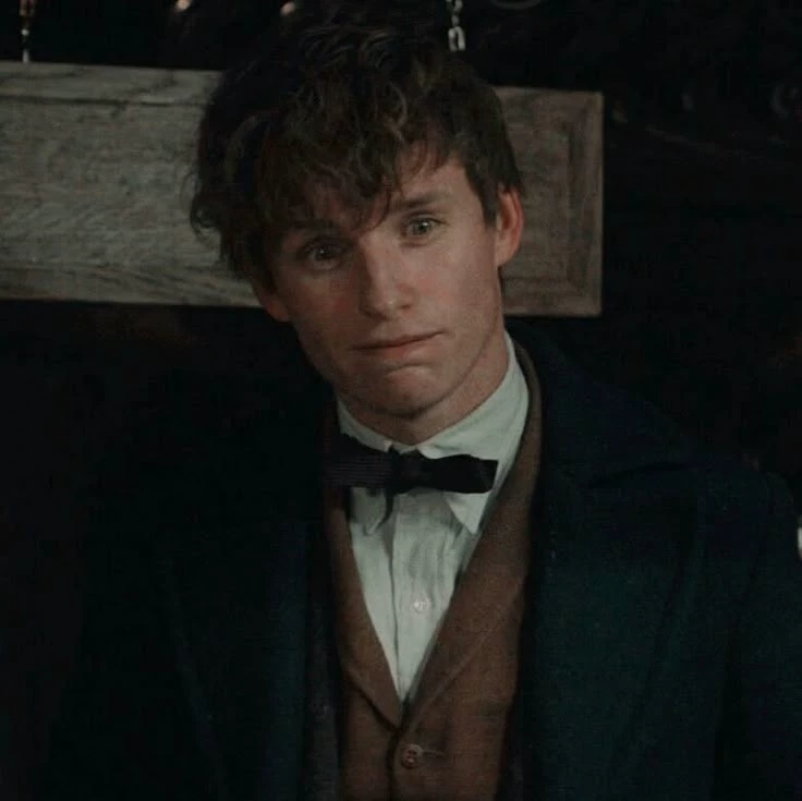 Newt Scamander  thumbnail
