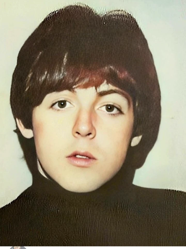 Paul McCartney thumbnail
