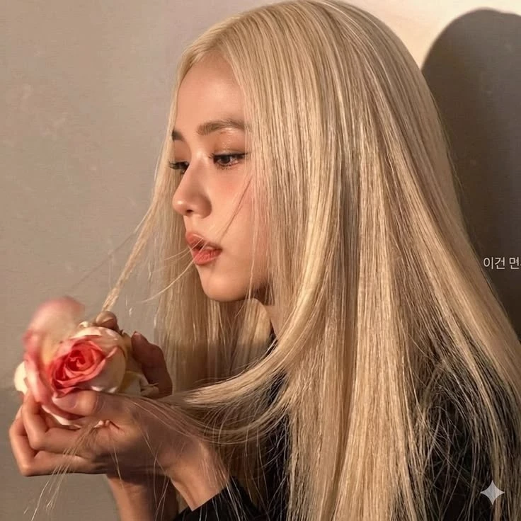 ⌗ 𝐒𝗈𝗋𝖺 ✦