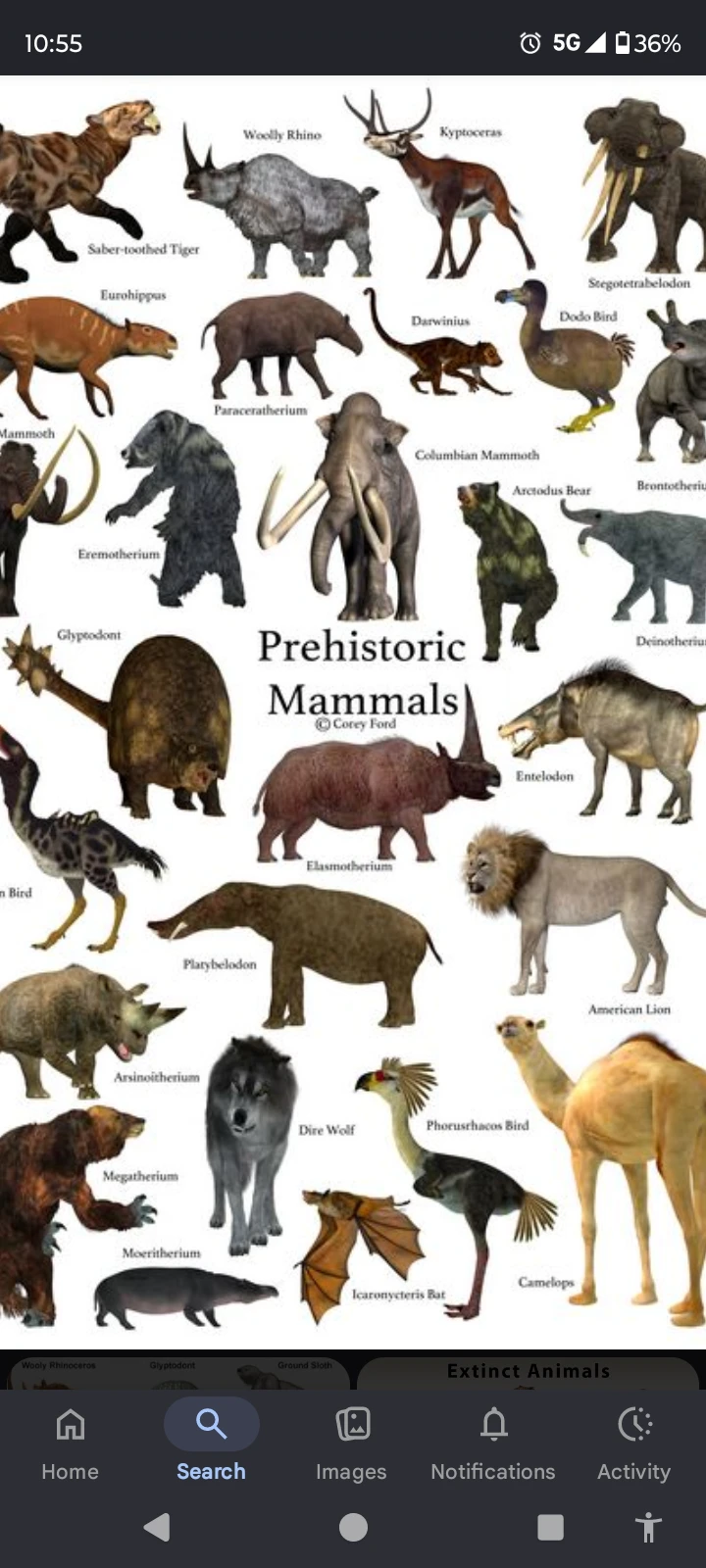 prehistoric era thumbnail