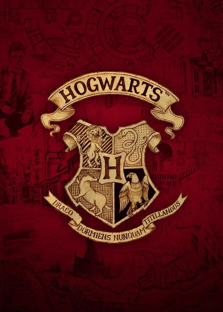 MHA x Harry Potter RP thumbnail