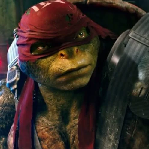 ✦⁺ Raphael ⁺ 💢 thumbnail