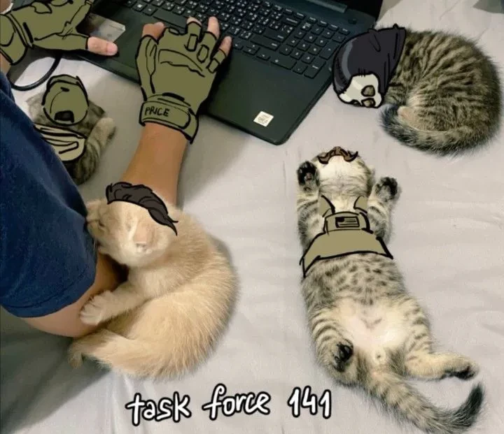 TF 141 being cats thumbnail