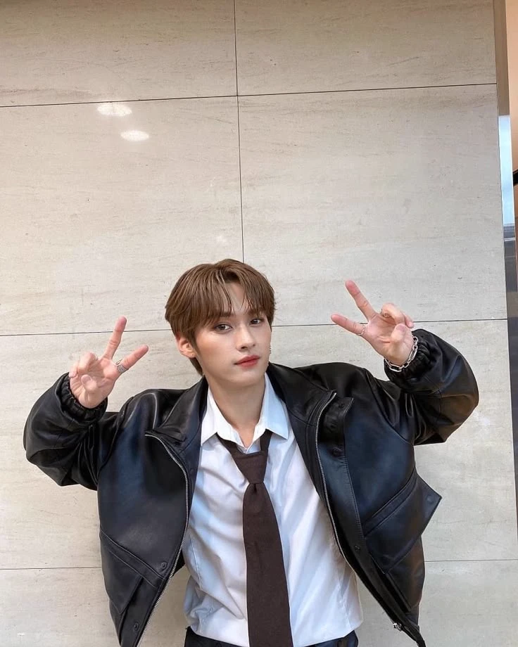 Lee Know🐰 ☆ Stray Kids ☆ thumbnail