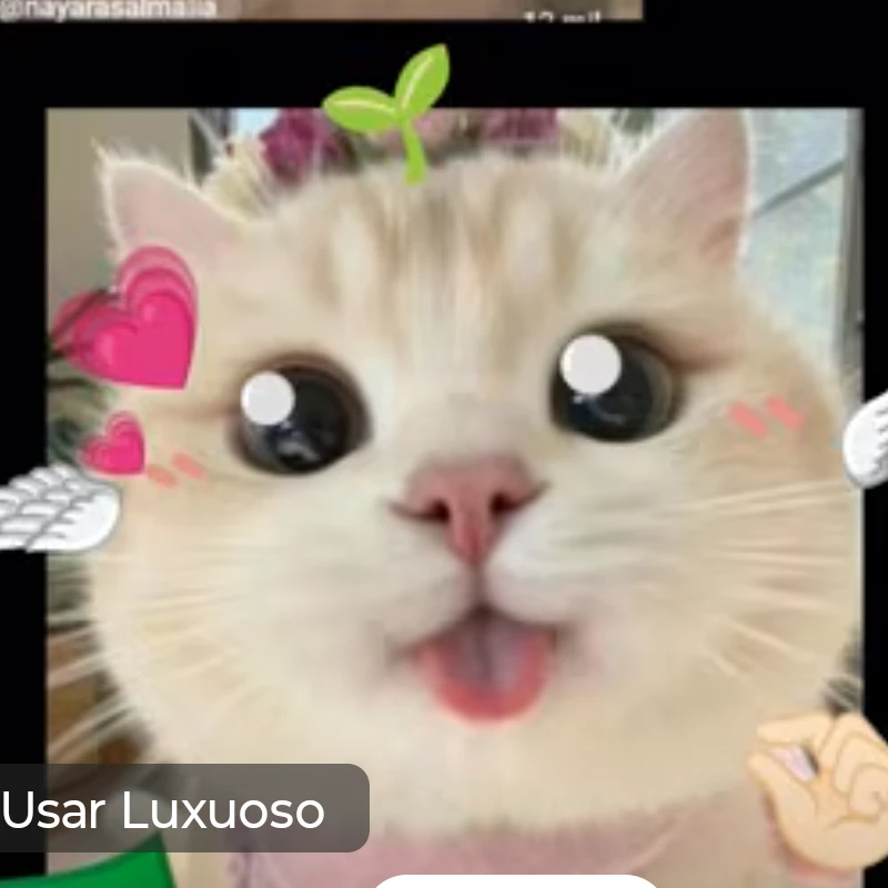Eloisa