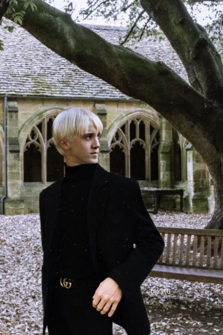 Drarry\| BL thumbnail