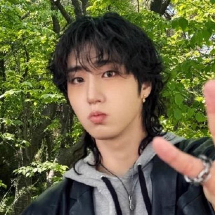 Stray Kids Han ⏔⏔⏔ ꒰ ᧔ෆ᧓ ꒱ ⏔⏔⏔ thumbnail