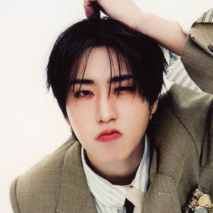 Han Jisung ִ ࣪ ˖ ࣪ ᰔ ִ ׄ thumbnail