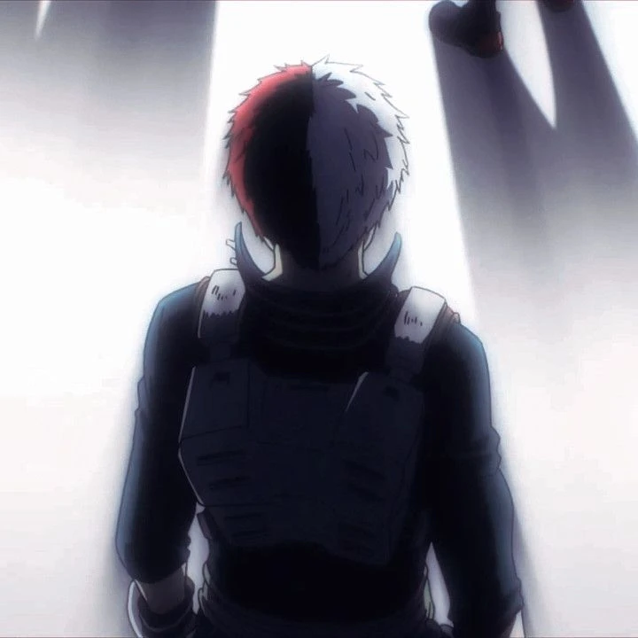 Shoto Todoroki thumbnail