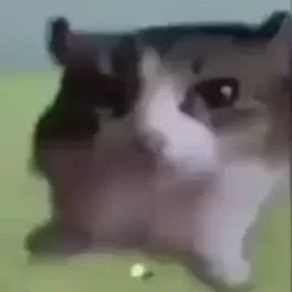 Yuta