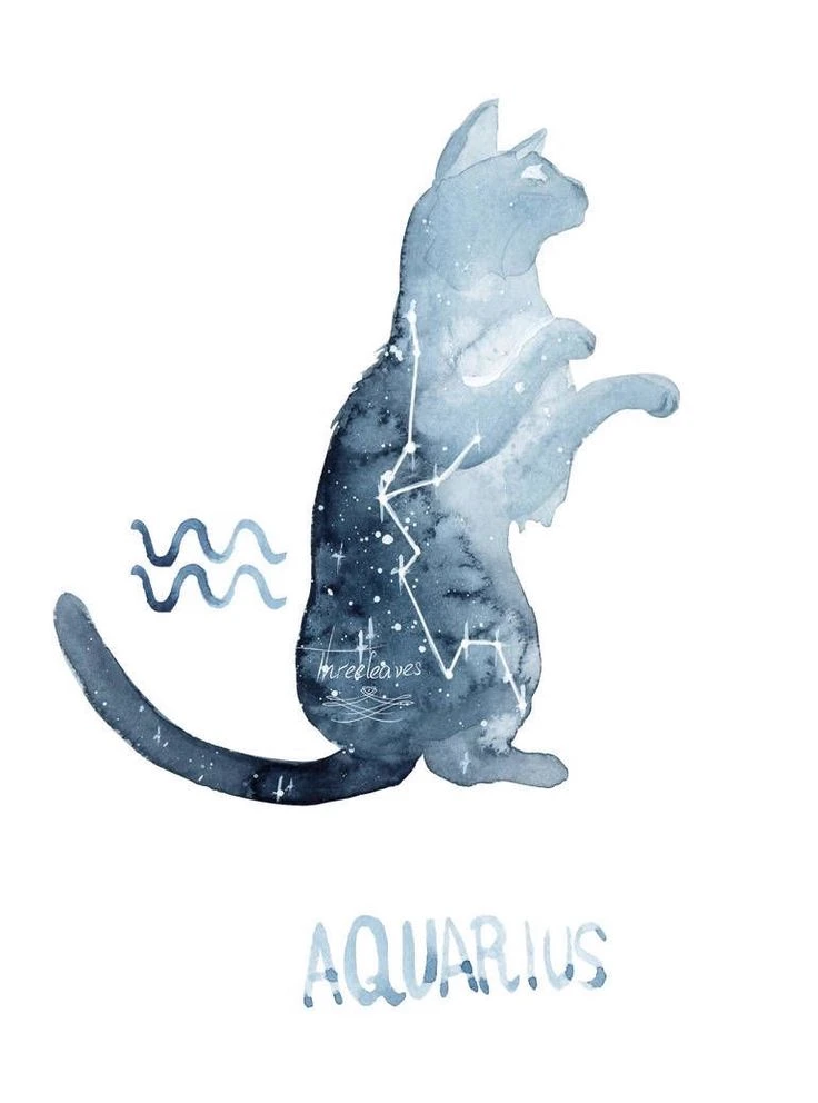 Aquarius♒️°.•~★ \_zodiac thumbnail
