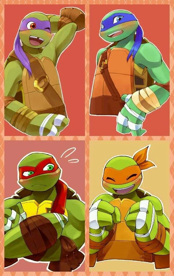 Teenage Mutant Ninja Turtles (Leo, Raph, Donnie, Mikey) thumbnail