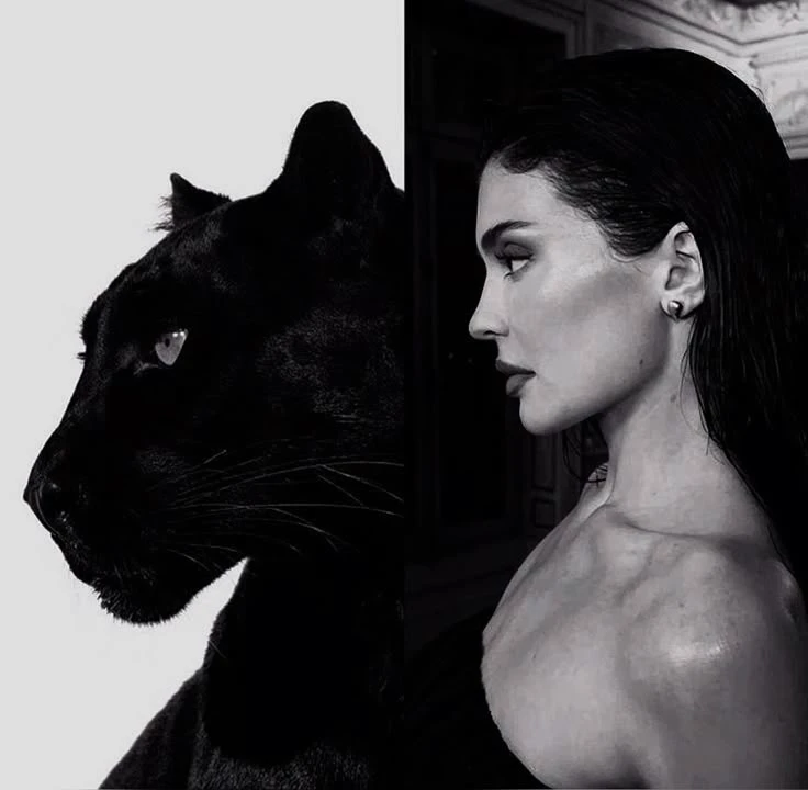 Black panther x female thumbnail