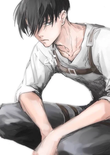 Levi Ackerman  thumbnail