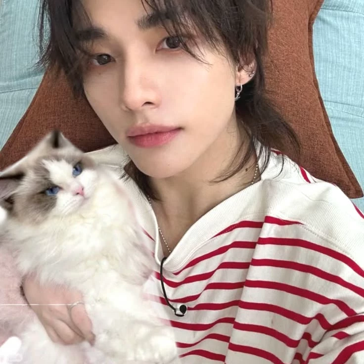 😺  Hyunjin  😺 thumbnail