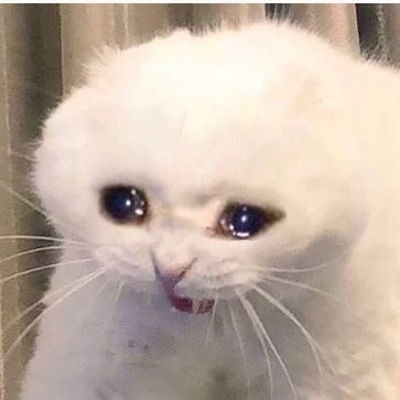 Yuki 