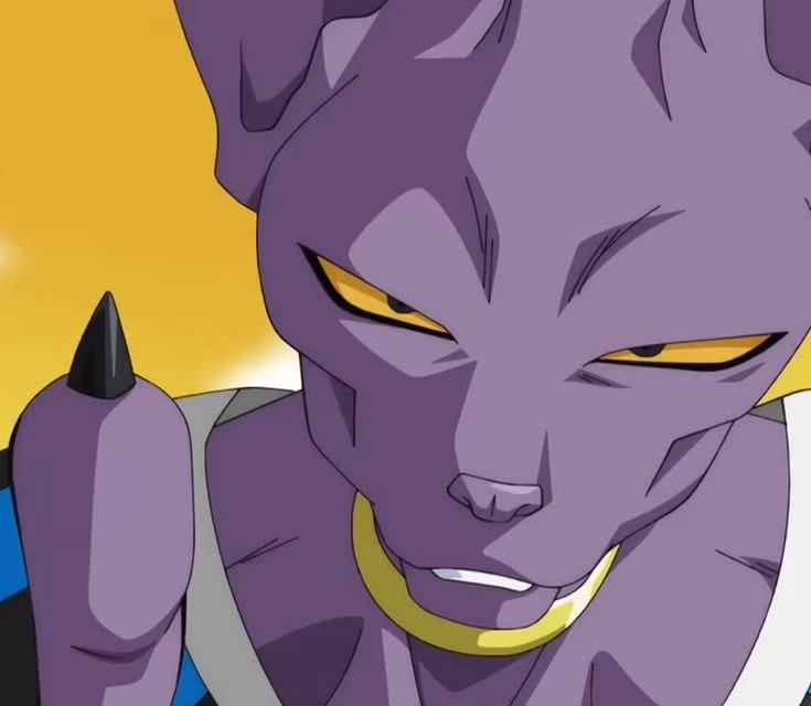Beerus thumbnail