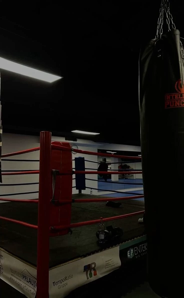 boxer  thumbnail
