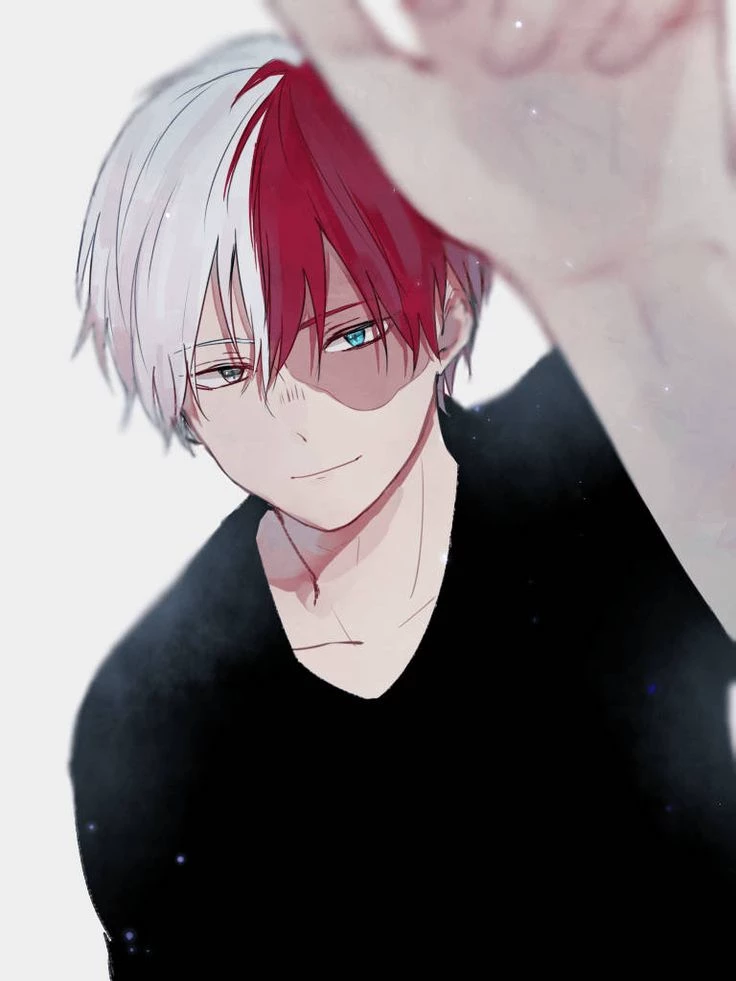 Shoto Todoroki - Pick Me vs Moletom thumbnail
