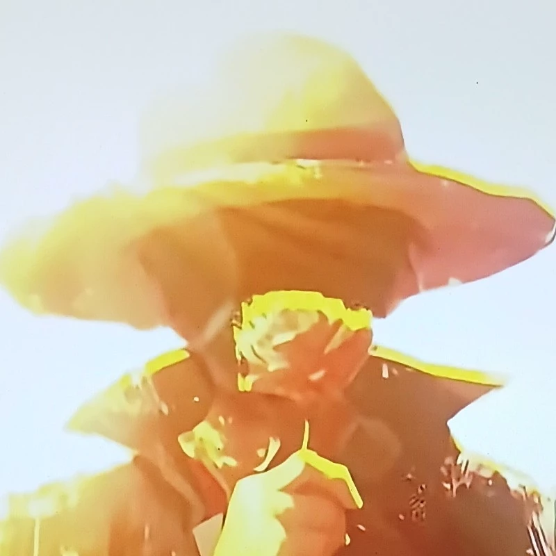 Monkey.D Luffy