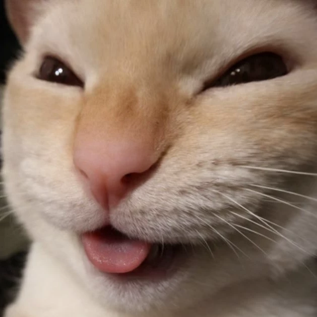 Victor